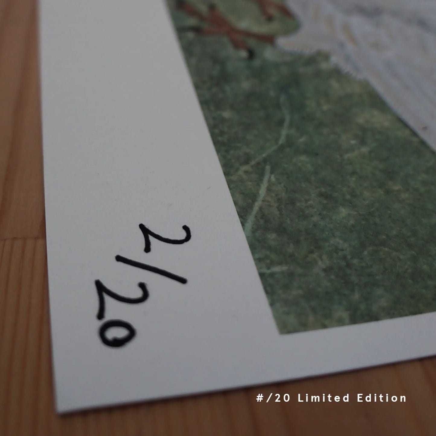 A close-up of a hand-numbered "2/20" limited-edition fine art print of "hope" (希望) by Ryuku Otsuka. Resting on a warm wooden table, the white border of the print frames a glimpse of the textured green background and the pigeon's claw, emphasizing a quiet, slow-living dedication to premium craft.