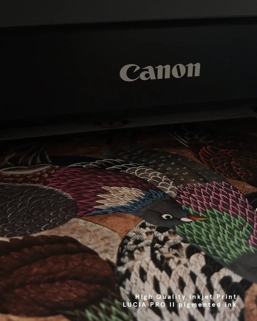 A close-up view of a fine art print emerging from a Canon printer. The detailed artwork depicts an urban pigeon with intricate, colorful feather patterns in green, pink, and dark tones, with white text overlay at the bottom reading "High Quality inkjet Print LUCIA PRO II pigmented ink."