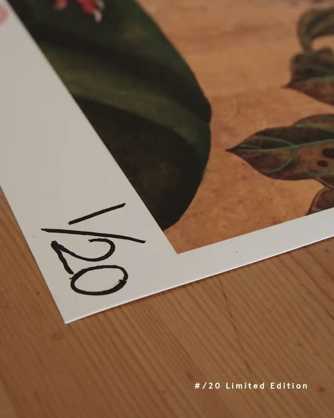 A close-up detail shot of the bottom-left corner of a fine art print on a wooden surface, displaying hand-written edition numbering "1/20" on the white margin. The artwork above features dark green and brown botanical leaves on a warm ochre background, with text overlay in the bottom right reading "#/20 Limited Edition."