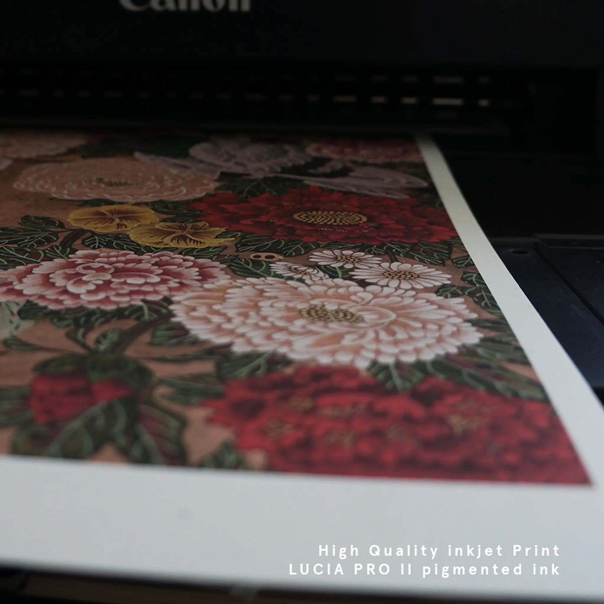 A close-up of a vibrant fine art print coming out of an inkjet printer, showcasing rich red and white peony colors on heavy white paper border.