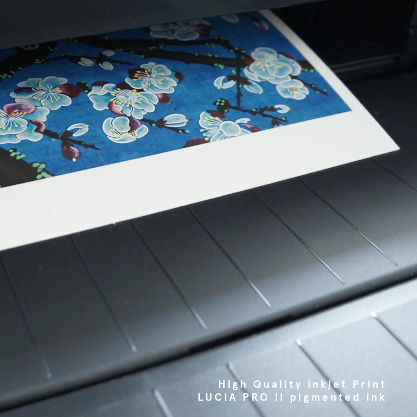 Close-up of a vibrant blue fine art print emerging from an inkjet printer, highlighting detailed white plum blossoms and an archival white border.